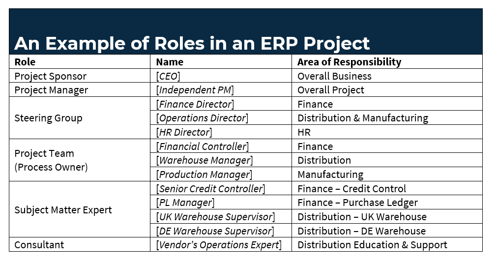 Example of some ERP project roles in a grid
